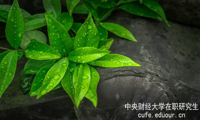 中央財經(jīng)大學(xué)同等學(xué)力申碩達到多少分才算通過(guò)考試？