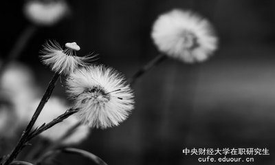 想上中央財經(jīng)大學(xué)在職研究生去哪里報名？