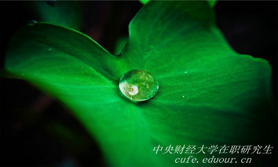 報考中央財經(jīng)大學(xué)在職研究生能升職嗎？