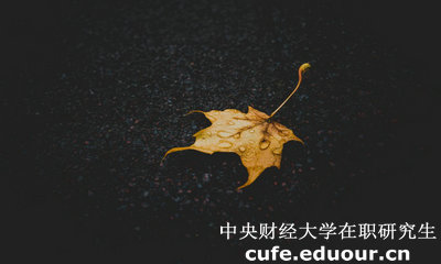 中央財經(jīng)大學(xué)在職研究生與課程研修班有哪些區別？