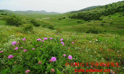 中國財經(jīng)大學(xué)在職研究生可以不考試么？