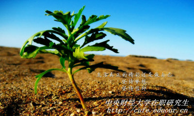 中央財經(jīng)大學(xué)在職研究生同等學(xué)力申碩有哪些優(yōu)勢？